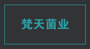 食品行业酒泉冲锋衣设计款式